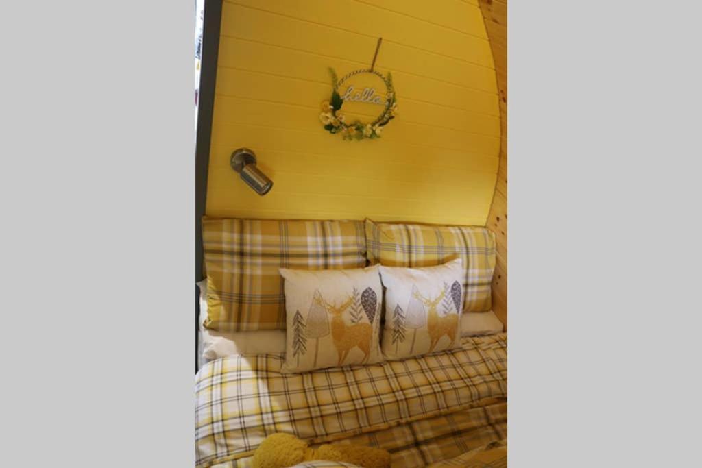 Glampods Glamping Pod - Meet Highland Cows And Sheep Elgin Villa Eksteriør bilde