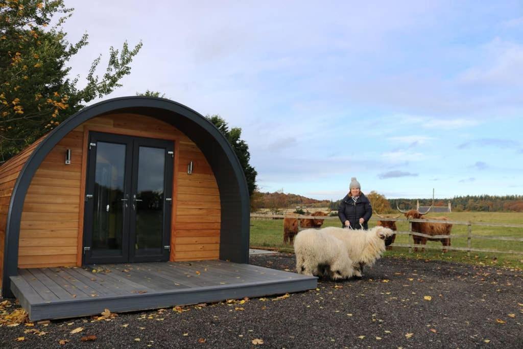 Glampods Glamping Pod - Meet Highland Cows And Sheep Elgin Villa Eksteriør bilde