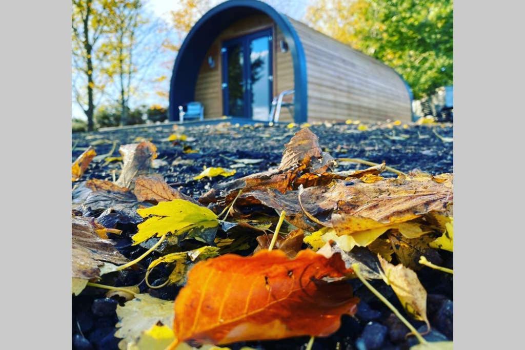 Glampods Glamping Pod - Meet Highland Cows And Sheep Elgin Villa Eksteriør bilde
